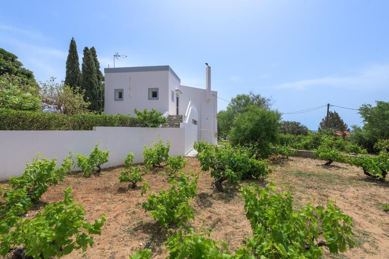Villa Evelyn Pefki (Rhodes) Exterior foto